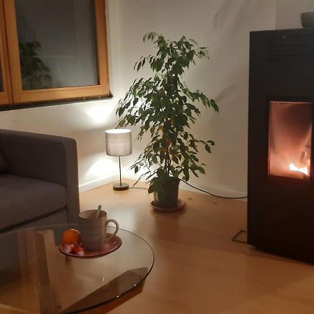 La Ticinella Apartment Лозон Екстериор снимка