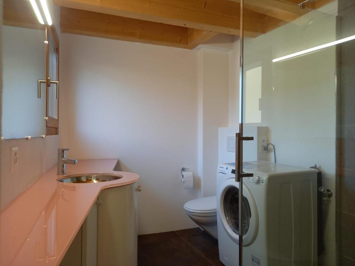 La Ticinella Apartment Лозон Екстериор снимка