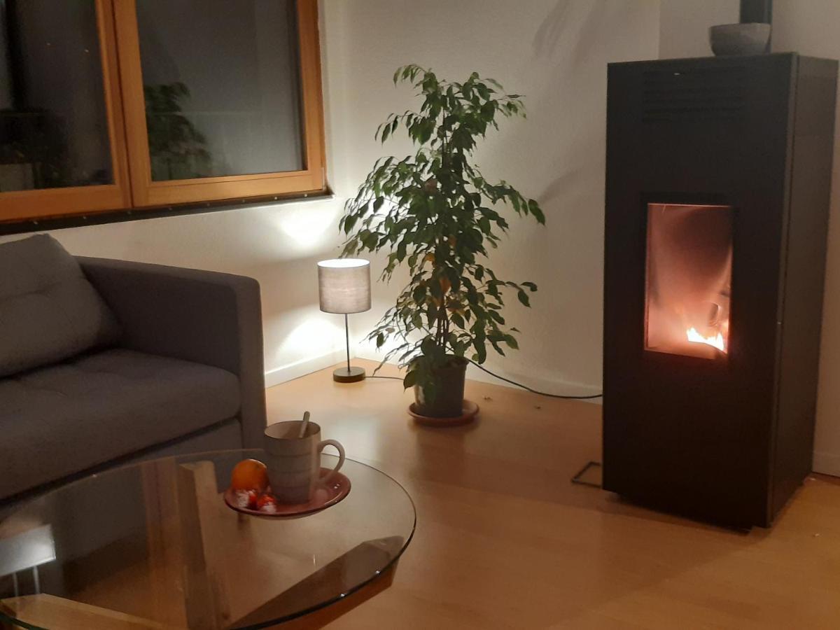 La Ticinella Apartment Лозон Екстериор снимка